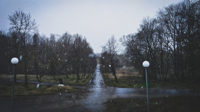 Gloomy winter park with falling snow