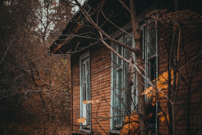 Abandoned wooden house in a forest during fall