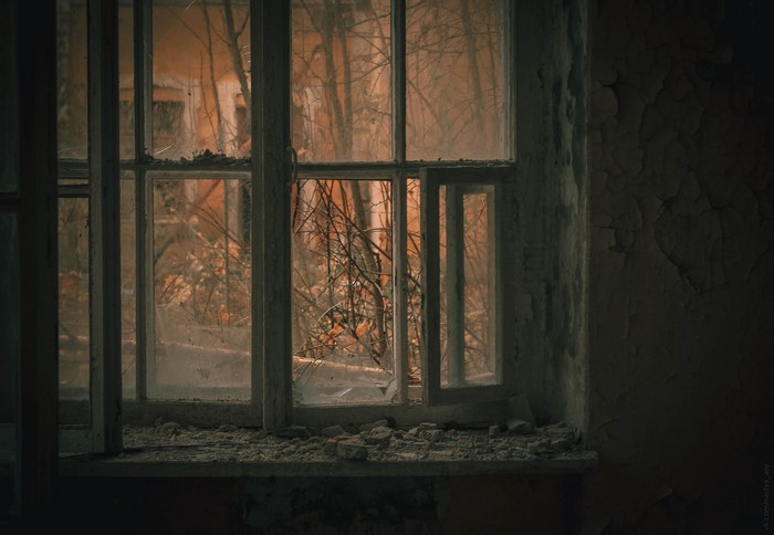Abandoned building window with trees outside