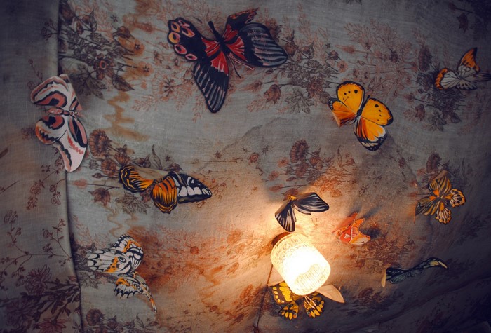 Butterflies on a floral patterned surface with a light bulb