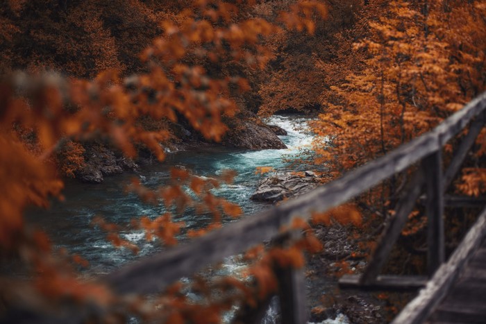 River flowing through an autumn forest with a wooden bridge
