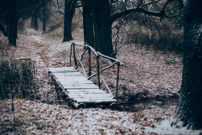 Wooden bridge covered in snow in a winter forest