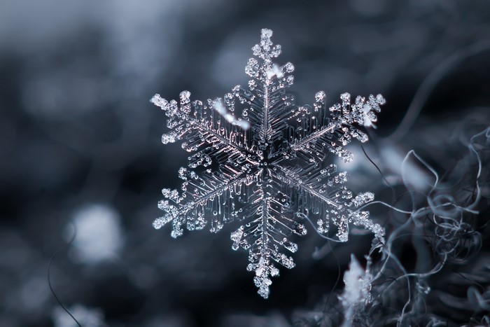 Macro photograph of a detailed snowflake