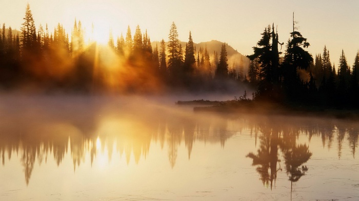 Sunrise over misty lake and pine forest