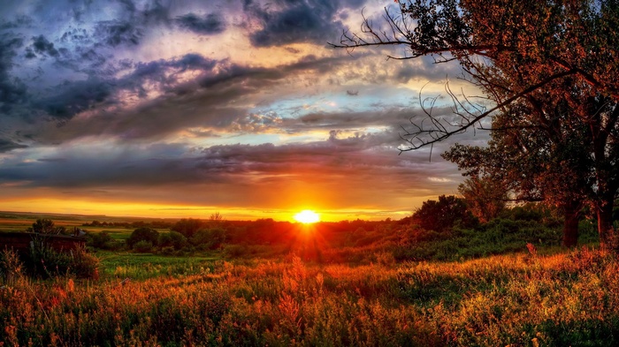 Sunset over a grassy field with trees