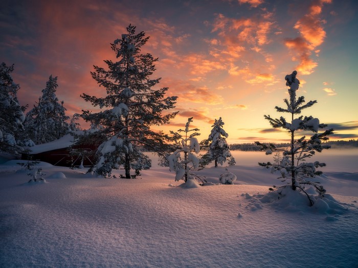 Snowy landscape with trees and a red building at sunset