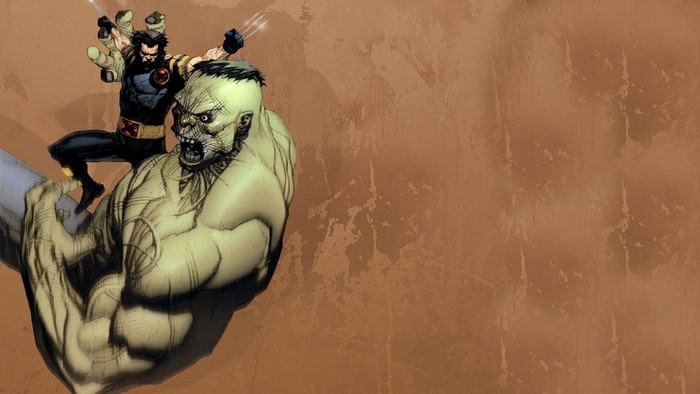 Wolverine fighting Hulk from Marvel Comics
