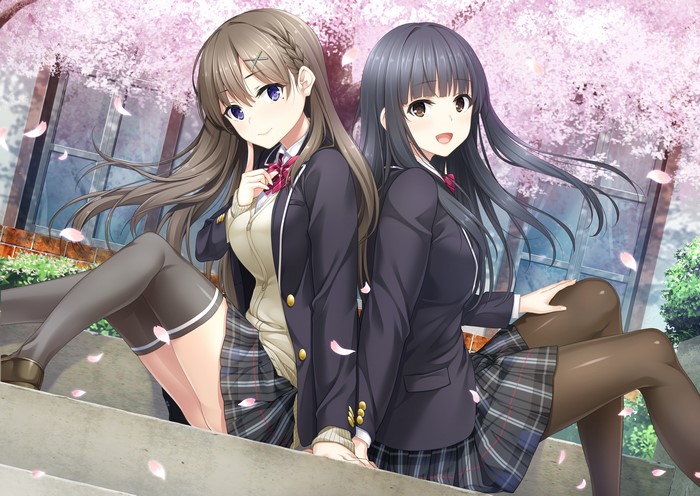 Anime girls in school uniforms under cherry blossoms