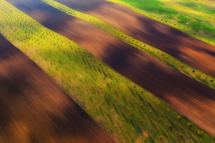 Aerial view of rolling fields with trees and shadows