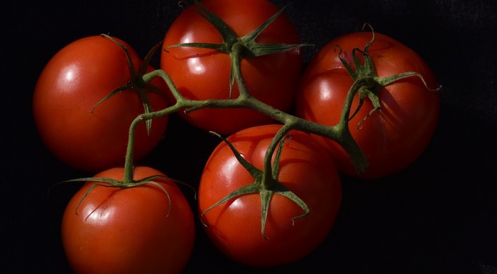 Vine tomatoes on a dark background