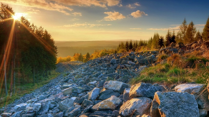 Rocky hillside with sunbeams through trees