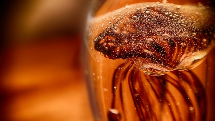 Close-up of a flower in a glass with bubbles