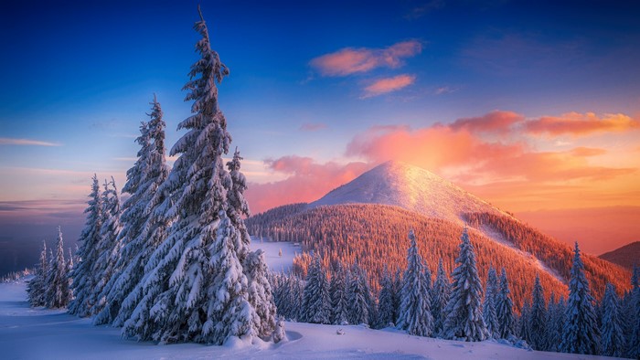 4K Winter Sunset Over Snowy Mountains and Forest