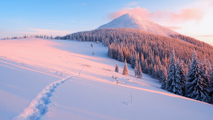 Snowy mountain forest landscape at sunrise