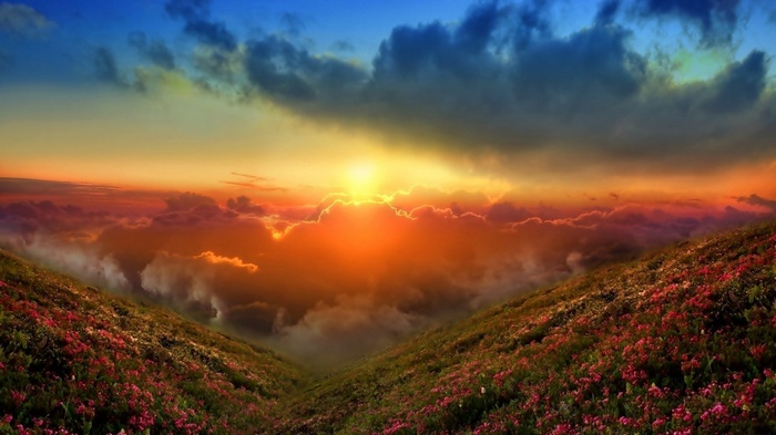 Sunset over a mountain valley with flowers