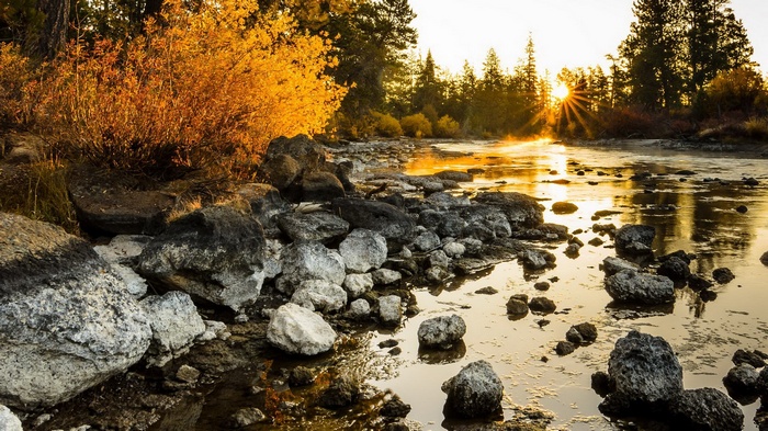 Riverbank with autumn trees and sunset