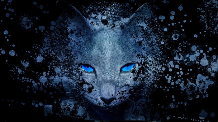Close-up of a cat with glowing blue eyes