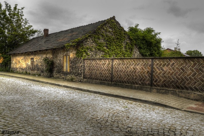 Old stone house covered in ivy with a cobblestone street in Poland