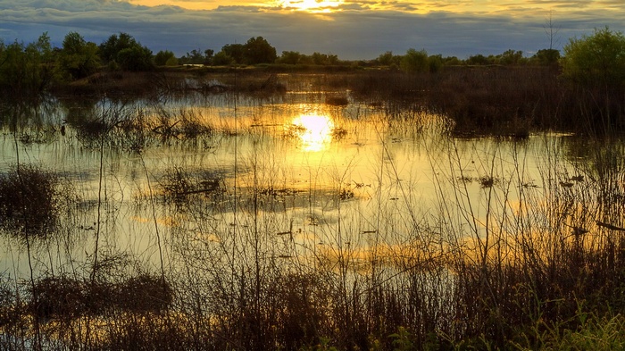Sunset over a marsh with reflections
