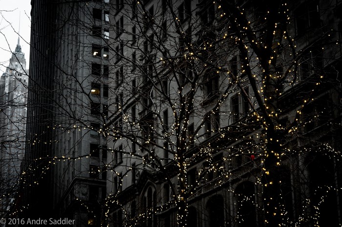 City buildings and trees with lights