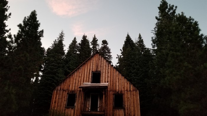 Abandoned wooden cabin in a pine forest