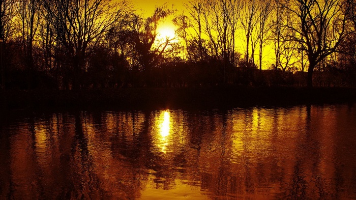 Sunset over a river with silhouetted trees