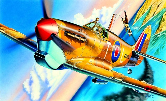 Supermarine Spitfire aircraft in flight