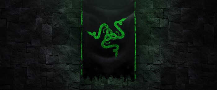 Razer logo banner on a stone wall