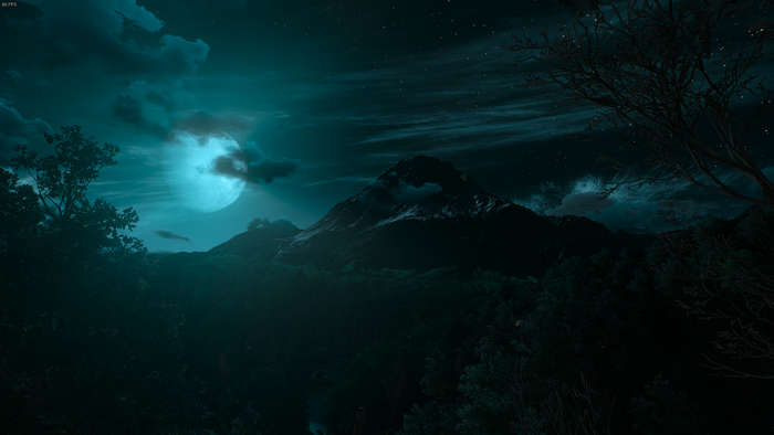 The Witcher 3: Wild Hunt landscape at night