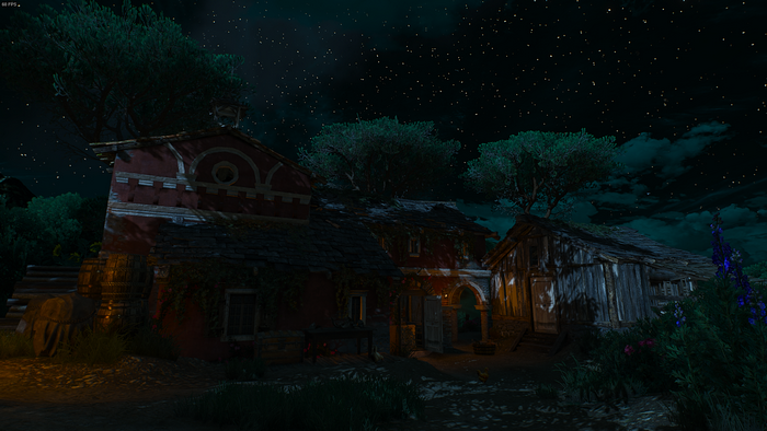 The Witcher 3: Wild Hunt night scene with buildings