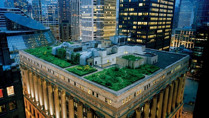 Rooftop garden on a classical building in a cityscape