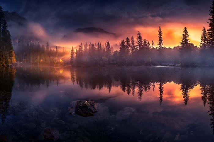 Misty lake at sunset with pine trees and reflection