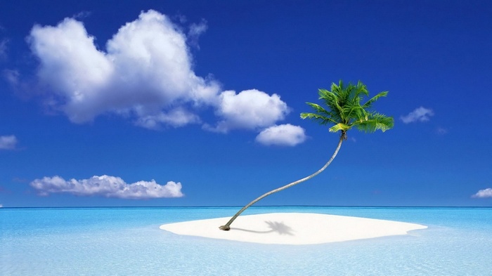 A lone palm tree on a small island in the ocean