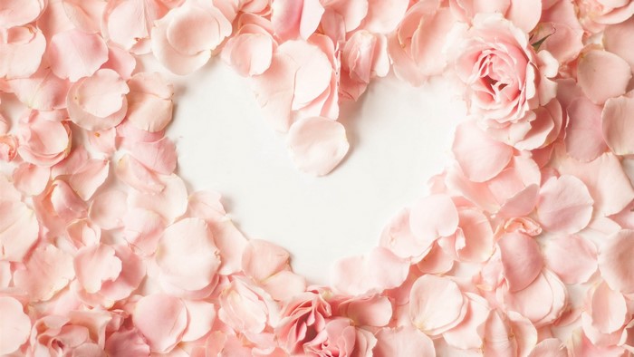 Pink rose petals forming a heart shape