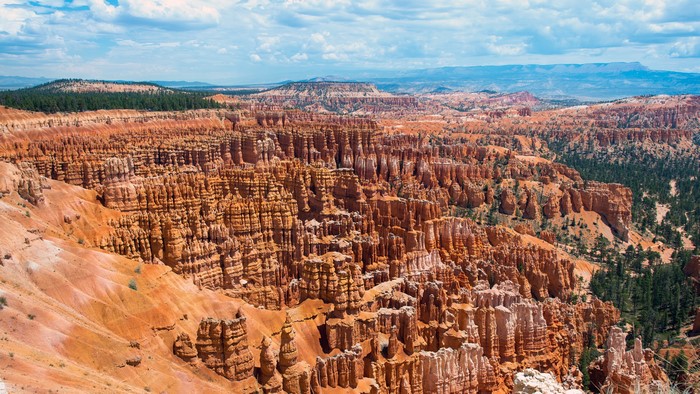 4K Bryce Canyon National Park landscape with hoodoos and trees