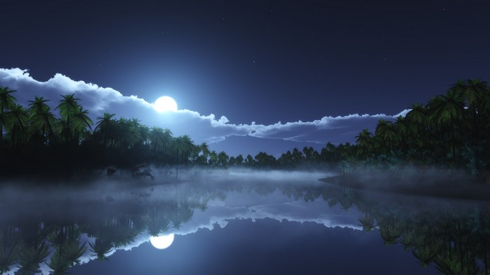 Night lake with moon and palm trees