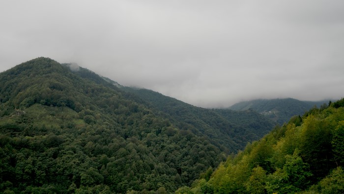 Misty mountains and forest landscape in Trabzon, Turkey