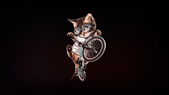 Kitten wearing goggles riding a BMX bike