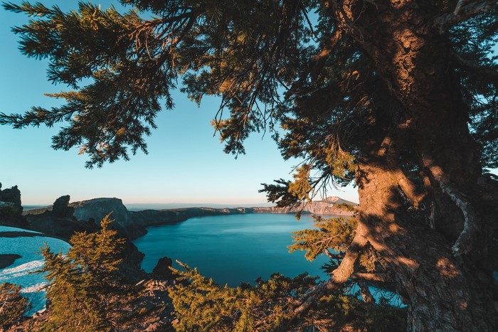 Crater Lake with Trees in Foreground
