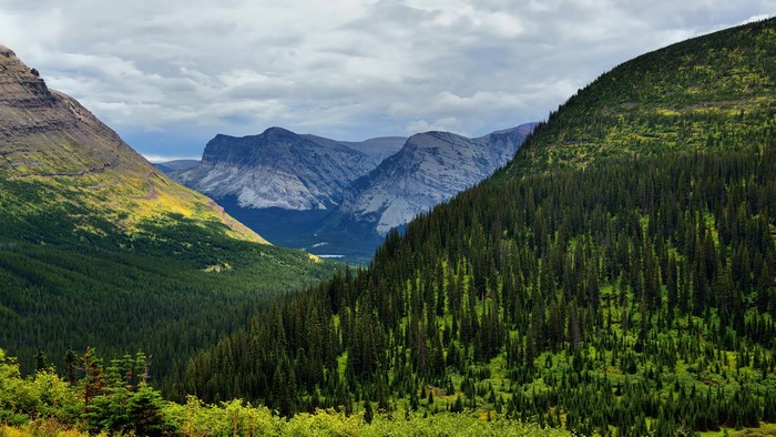 4K landscape of forest and mountains under clouds