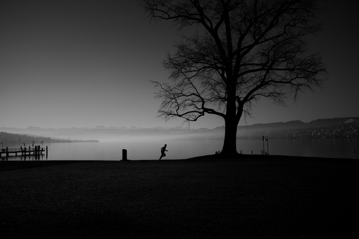 Man running by a tree near a lake in Zurich
