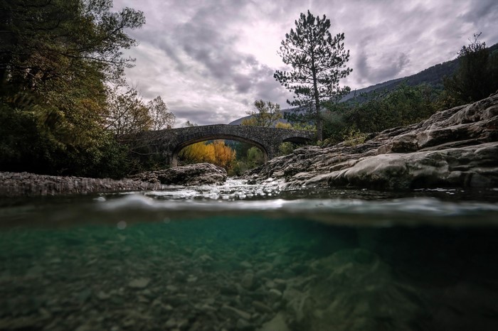 Stone bridge over a river in a forest