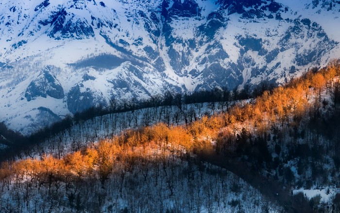 Snowy mountains with sunlit trees on a slope