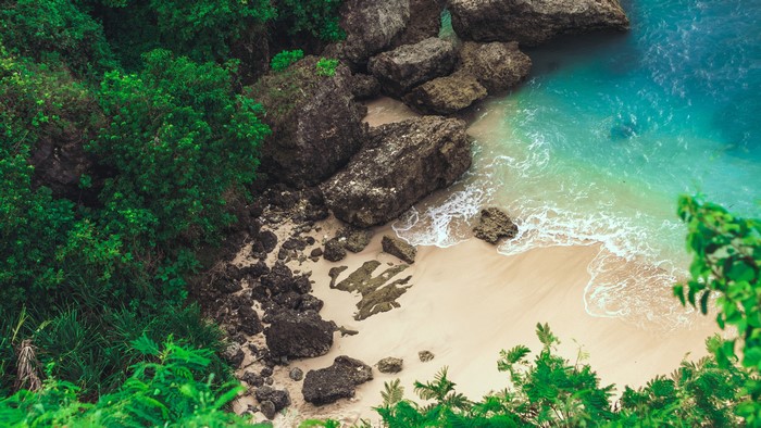 Top view of a tropical beach with rocks and plants