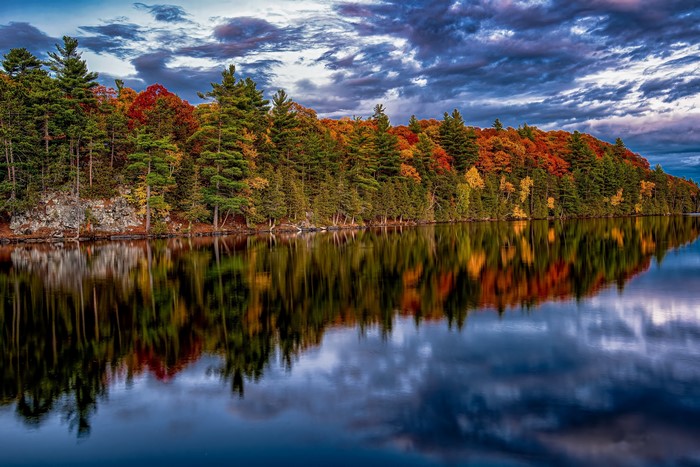 Autumn trees reflected in a calm lake under a cloudy sky