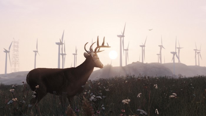Deer in a field with wind turbines at sunset