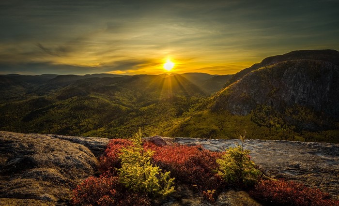Sunrise over forested mountains with rocky foreground
