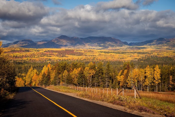 Road through autumn forest with mountains in Canada