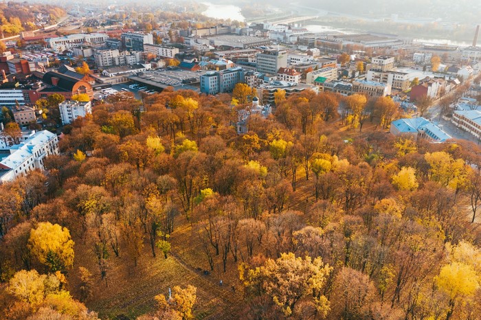 Aerial view of a cityscape in autumn
