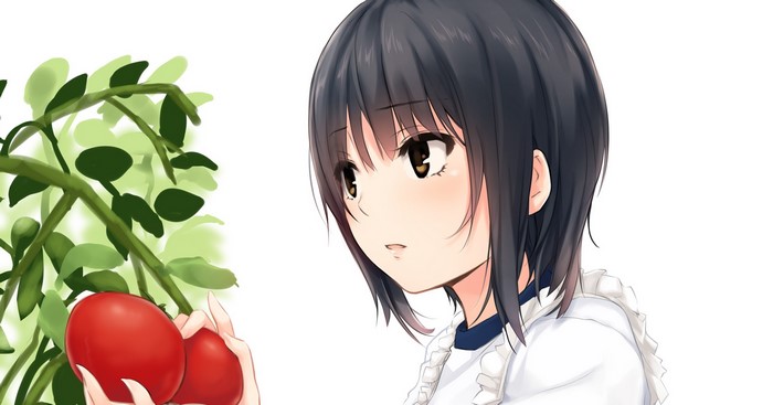 Anime girl picking tomatoes